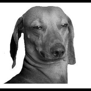 Meet your Posher, Natalia